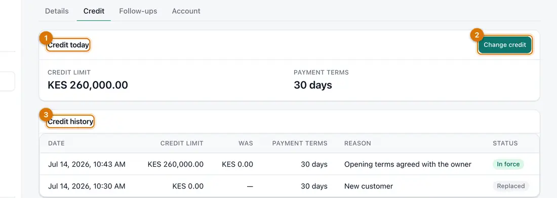 A customer's Credit tab with credit today and the credit history table